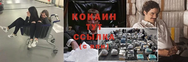мескалин Богородицк