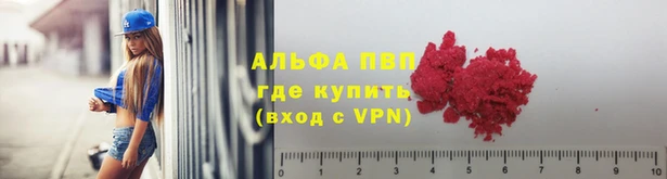 дмт Белокуриха