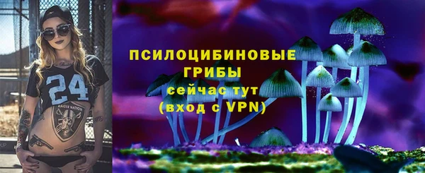 мескалин Богородицк